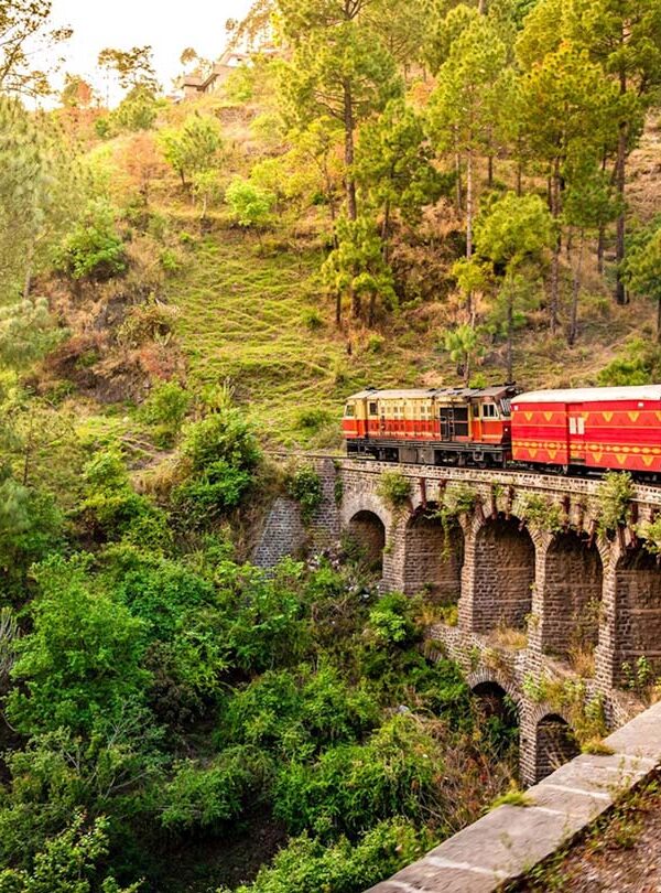 shimla