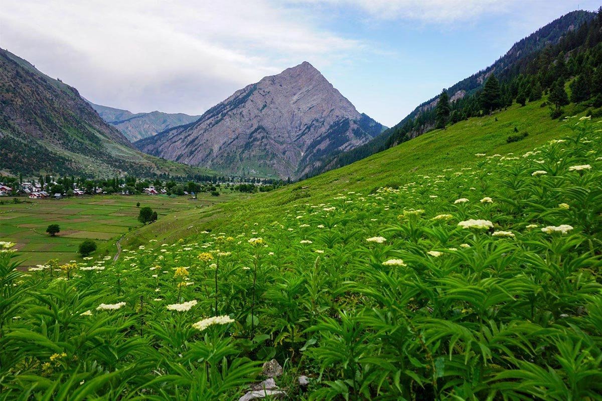 Unexplored Kashmir With Gurez Valley Tour Package